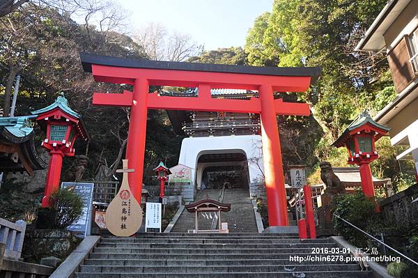 DSC_8050.JPG DSC_8050.JPG