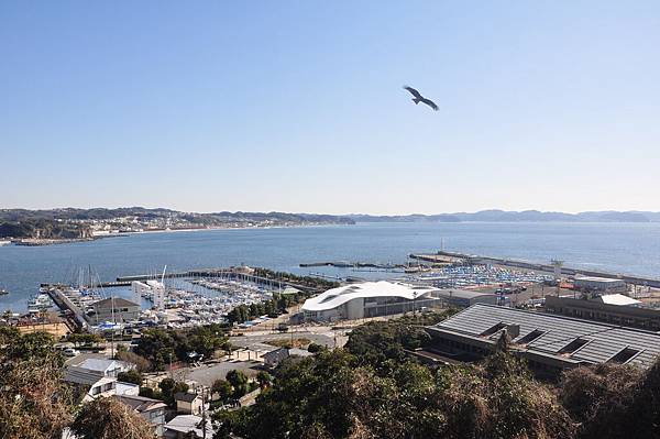 DSC_8090.JPG DSC_8090.JPG