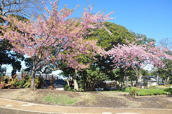 DSC_8108.JPG DSC_8108.JPG