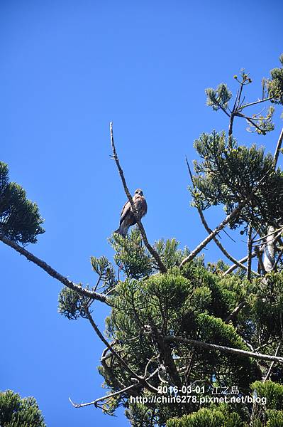 DSC_8120.JPG DSC_8120.JPG