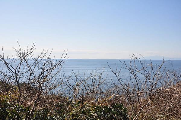 DSC_8232.JPG DSC_8232.JPG