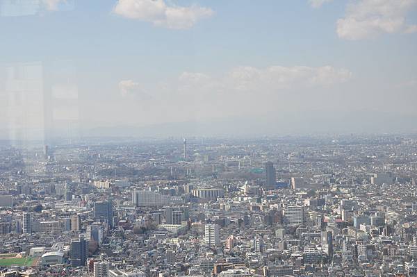 DSC_8383.JPG DSC_8383.JPG