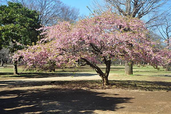 DSC_8333.JPG DSC_8333.JPG