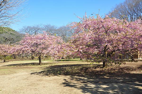 DSC_8335.JPG DSC_8335.JPG