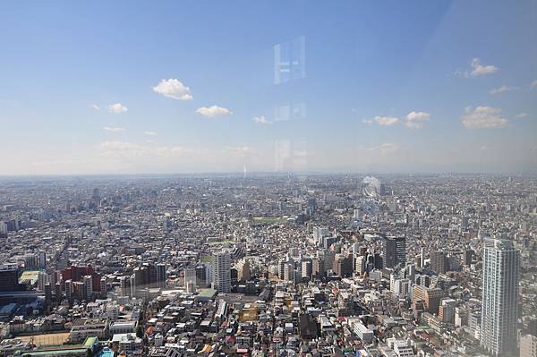 DSC_8370.JPG DSC_8370.JPG