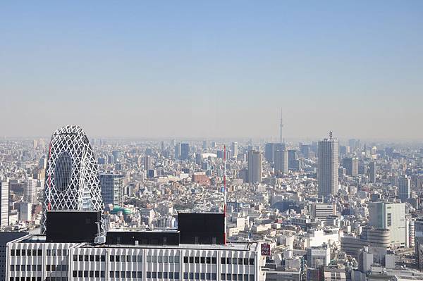 DSC_8375.JPG DSC_8375.JPG