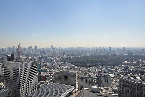 DSC_8377.JPG DSC_8377.JPG