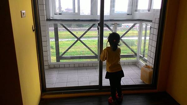 媽媽,我們家的窗前有牛!