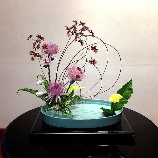 自由花 線1 自由花 線1