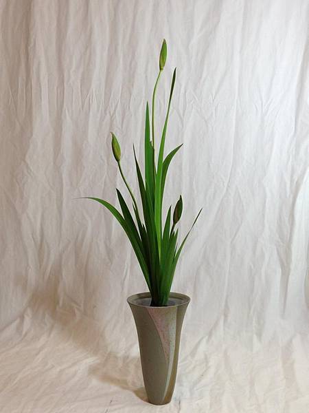 燕子花1 燕子花1