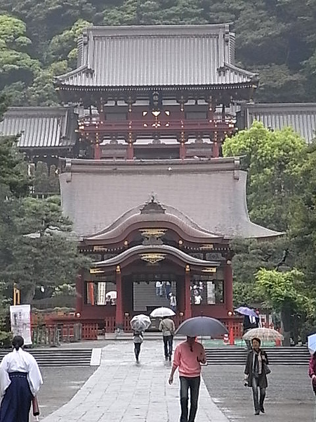 0511鎌倉鶴岡八幡宮.JPG