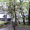 0512角館ー武家屋敷岩橋家.JPG