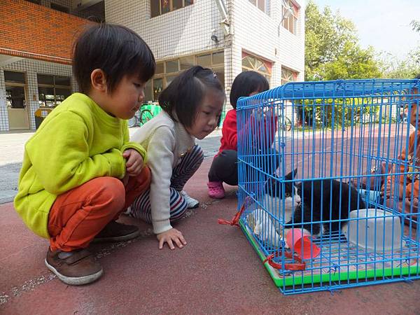 請輸入圖片標題