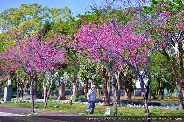 DSC_0460 DSC_0460