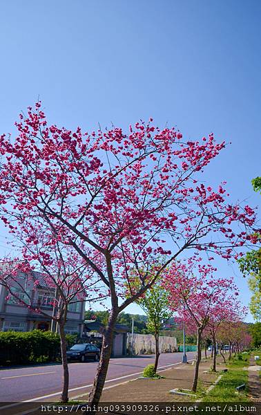 DSC_0470 DSC_0470
