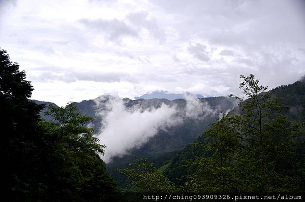 DSC_0594.JPG DSC_0594.JPG
