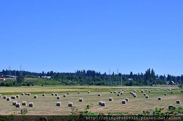 DSC_0754.JPG DSC_0754.JPG