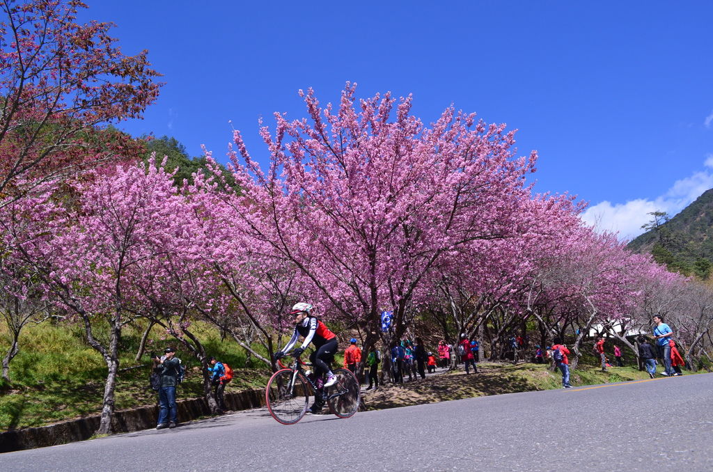 DSC_0968.JPG DSC_0968.JPG
