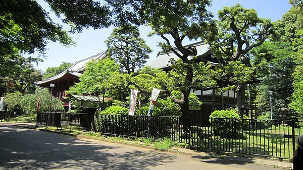 上野-清水觀音寺2.JPG