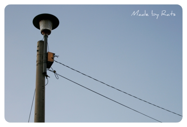 the street lamp