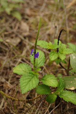 1-DSC09911