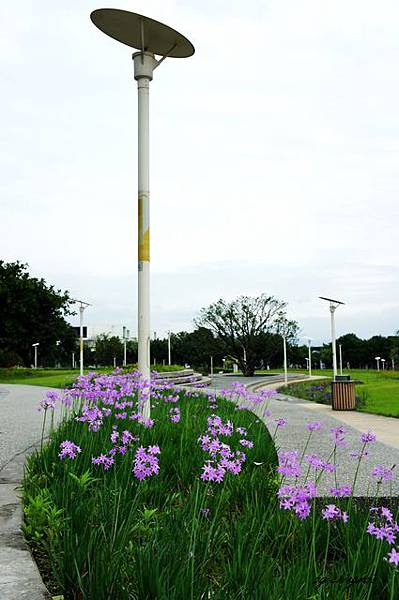 nEO_IMG_DSC09726 nEO_IMG_DSC09726