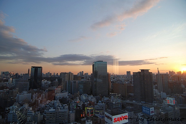 nEO_IMG_DSC_0256.jpg nEO_IMG_DSC_0256.jpg