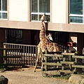 2013_0201_075957.JPG