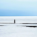 05.JPG
