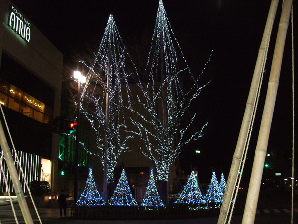 2010.01.30~02.03金澤市區,兼六園,東茶屋街,合掌村 (8).jpg