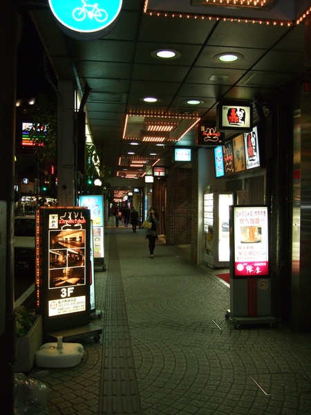 2010.01.30~02.03金澤市區,兼六園,東茶屋街,合掌村 (11).jpg