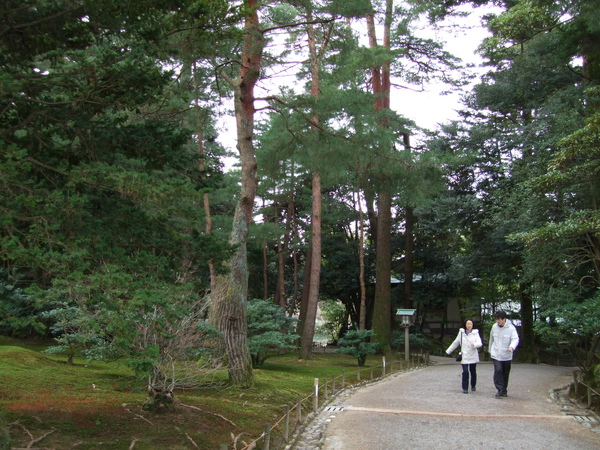 2010.01.30~02.03金澤市區,兼六園,東茶屋街,合掌村 (64).jpg