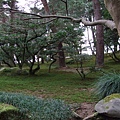 2010.01.30~02.03金澤市區,兼六園,東茶屋街,合掌村 (67).jpg