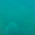 20110708666.JPG