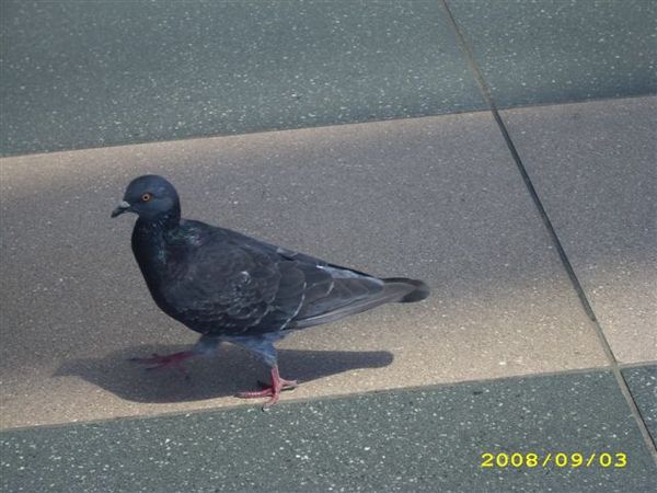 IMG_0149.JPG