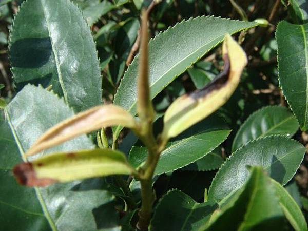 1504769355559.jpg 1504769355559.jpg