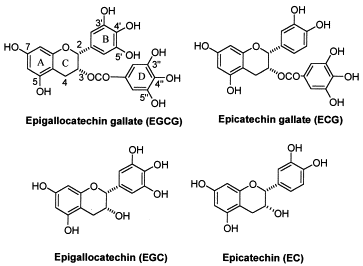 1-s2.0-S0891584999001331-gr1.gif 1-s2.0-S0891584999001331-gr1.gif