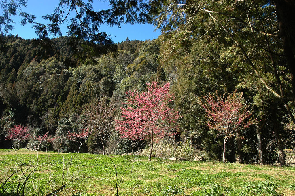 DSC_0337_f.jpg DSC_0337_f.jpg