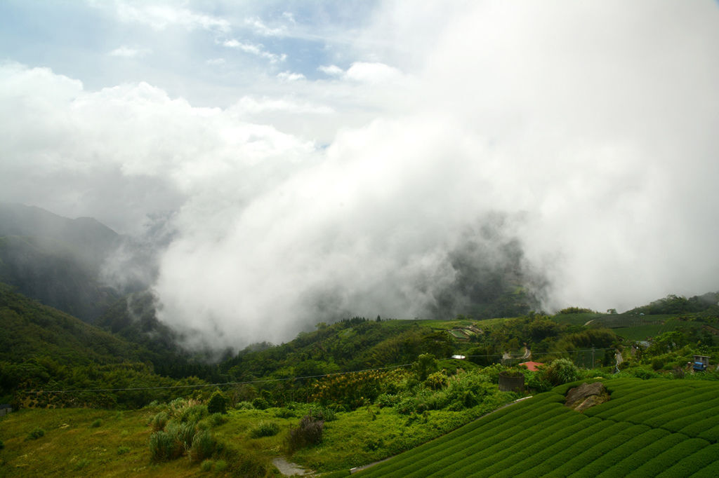 DSC_2833_01_f.jpg DSC_2833_01_f.jpg