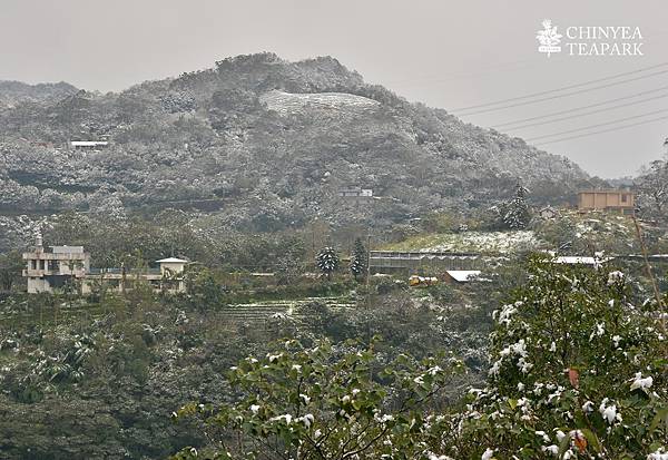 20160124_坪林雪景08.jpg