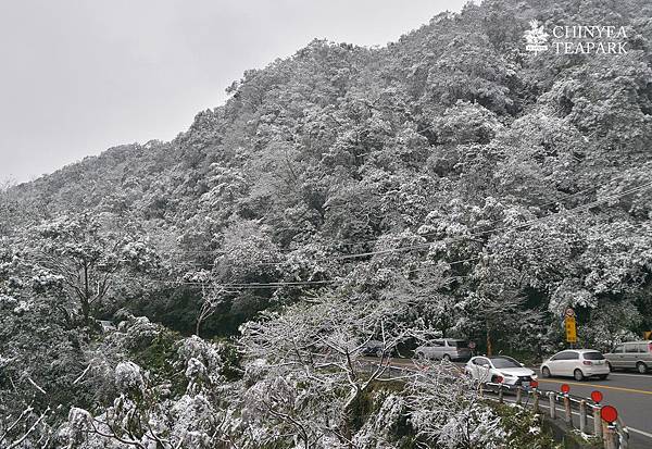 20160124_坪林雪景05.jpg