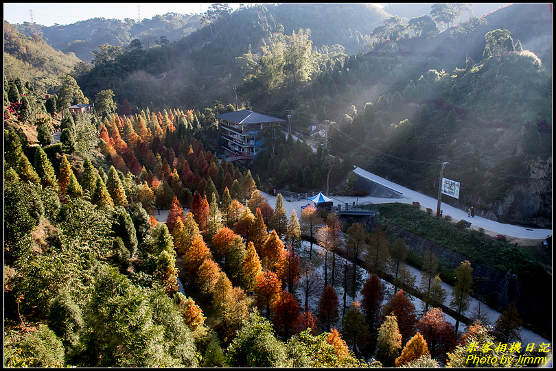 三灣落羽松‧夢幻水倒影