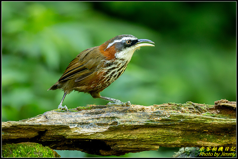 瑪陵坑‧小彎嘴