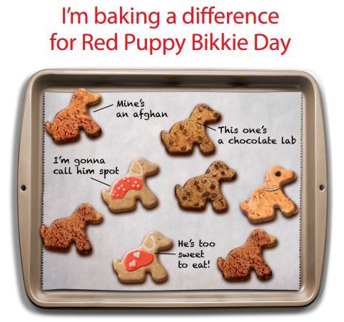 red bikkie day.JPG