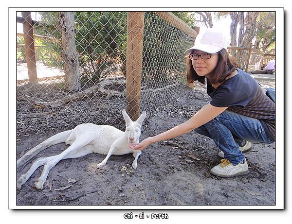 他在等人喂牠吃東西