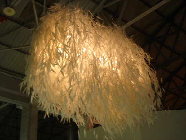 DSC01826.JPG