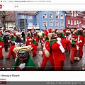20170618-豬膀胱嘉年華會Fasnet Elzach.jpg