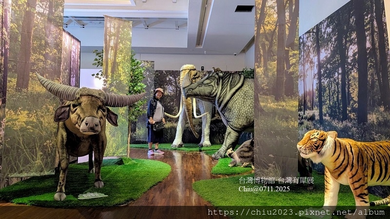20250711-台灣有犀展-04.JPG