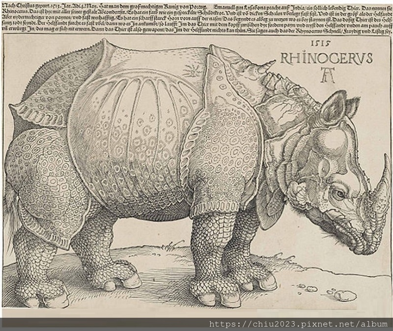 20250721-杜勒的犀牛-01.JPG