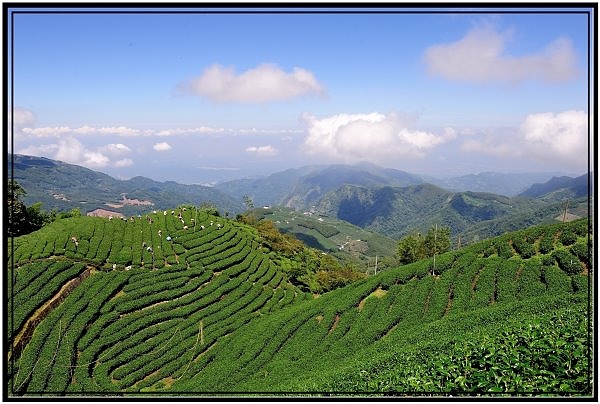 DSC_4980.jpg DSC_4980.jpg
